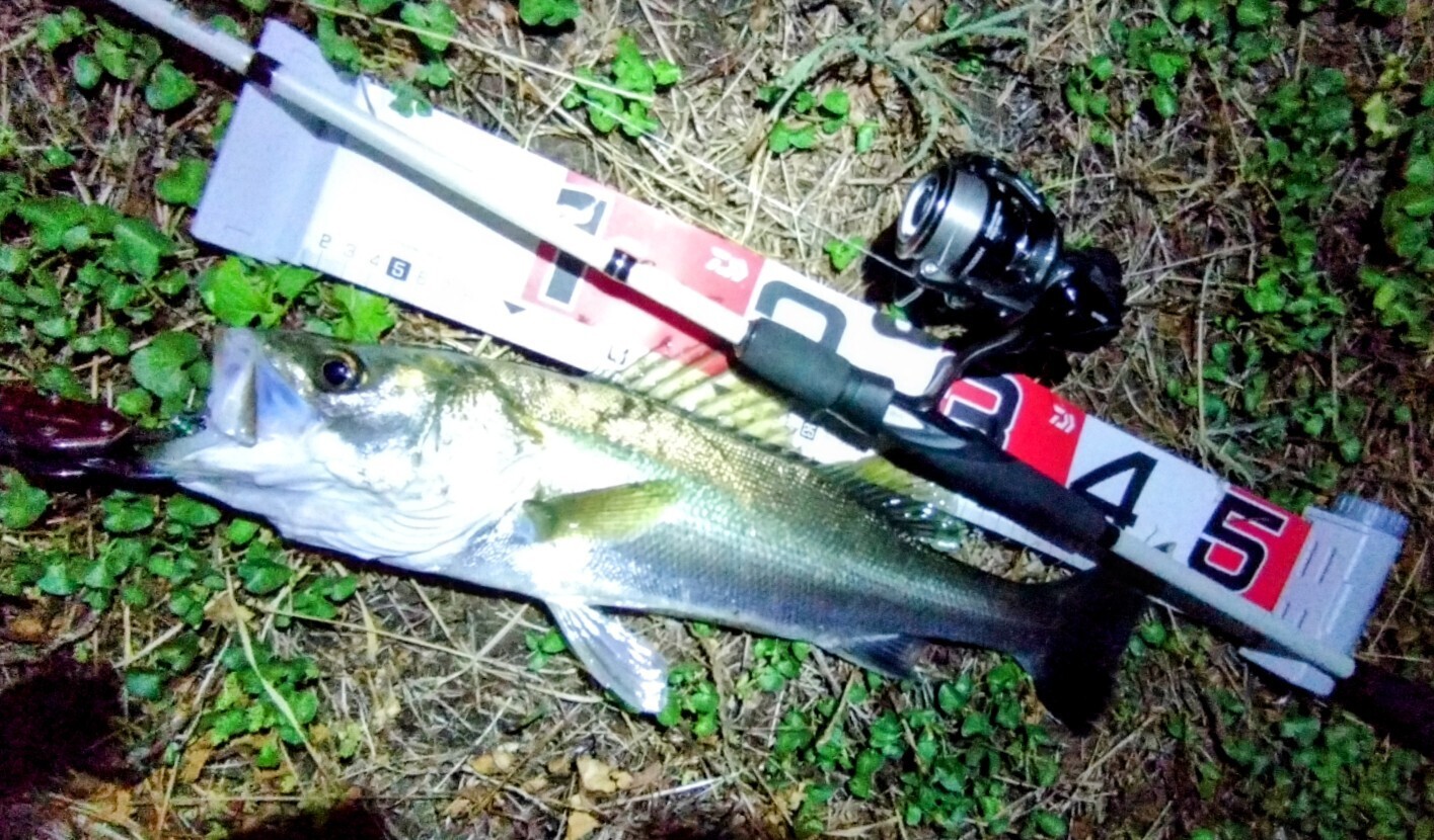 釣り】アブガルシア レボSPビースト・・・: GAK LIFE